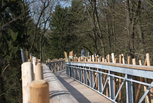 LANDESGARTEBSCHAU BAD IBURG 4